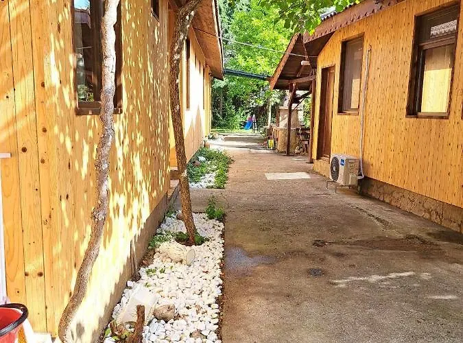 комплекс джулай морнинг * Китен