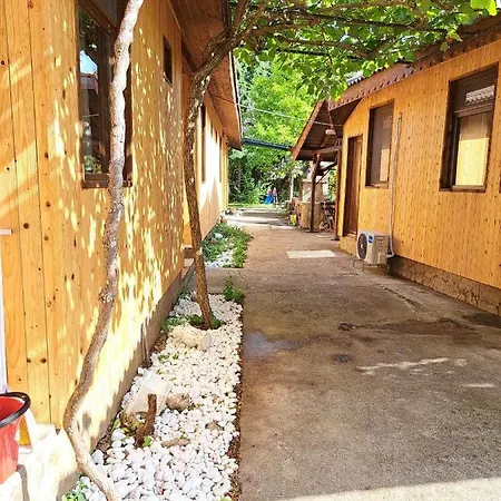 комплекс джулай морнинг * Kiten